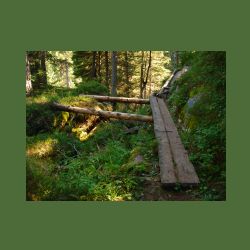 2012-08-09_01Fischunkel-Alm_Wasseralm (401).JPG